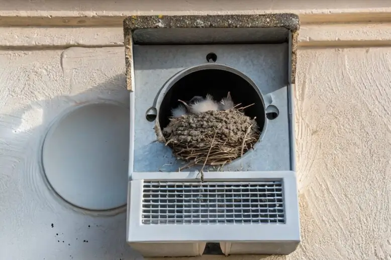 Bird nesting debris blocking ventilation in a food processing plant