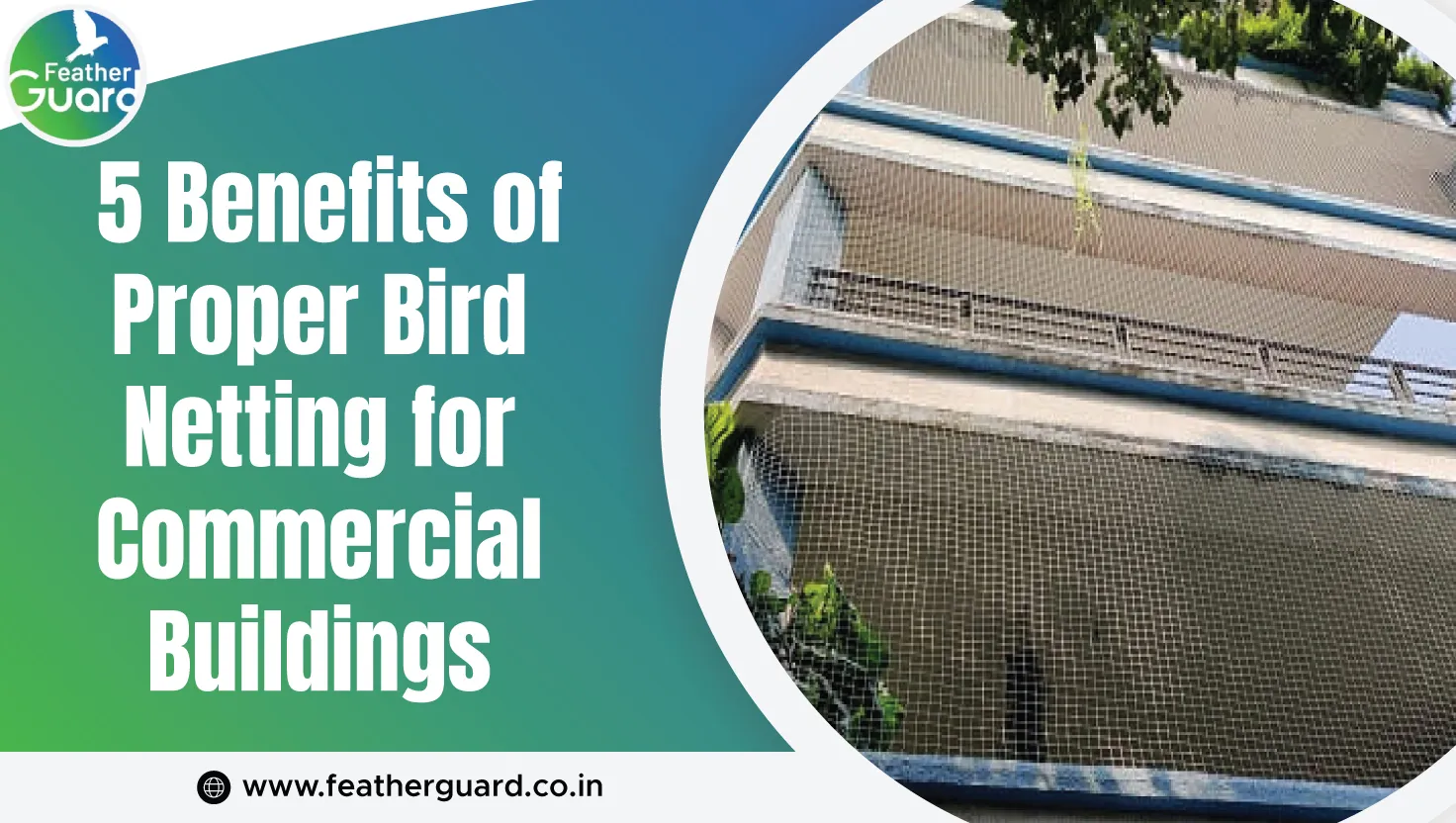 5 Benefits Of Proper Bird Netting For Commercial Buildings