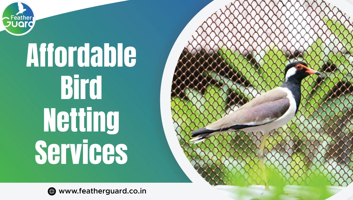 Affordable Bird Netting Services