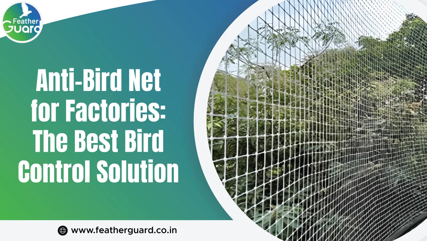 Anti Bird Net For Factories The Best Bird Control Solution