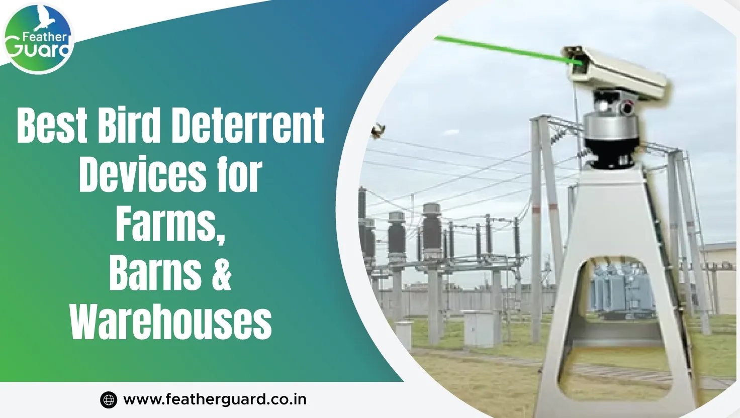 Best Bird Deterrent Devices For Farms And Warehouses