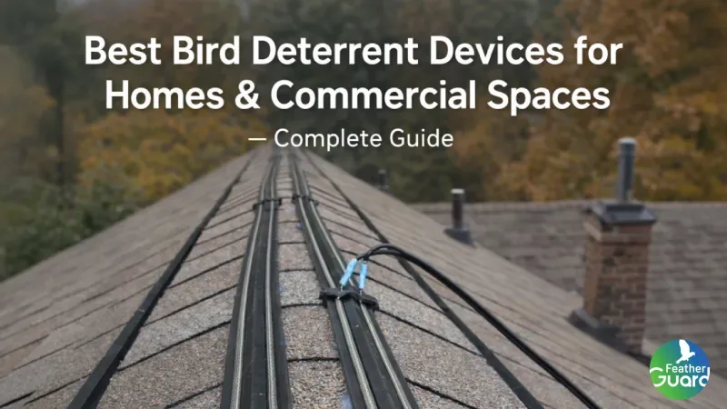 Best Bird Deterrent Devices for Homes & Commercial Spaces – Complete Guide