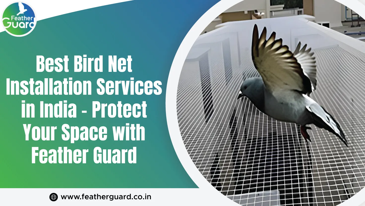 Best Bird Net Installation Services In India Protect Your Space With Feather Guard