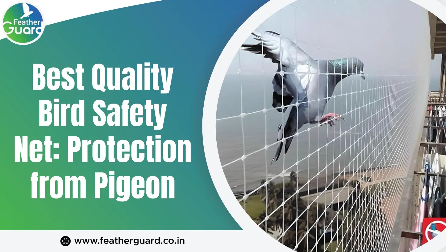 Best Quality Bird Safety Net For Effective Pigeon Control
