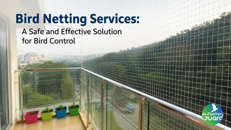 Bird Netting Services: A Safe and Effective Solution for Bird Control