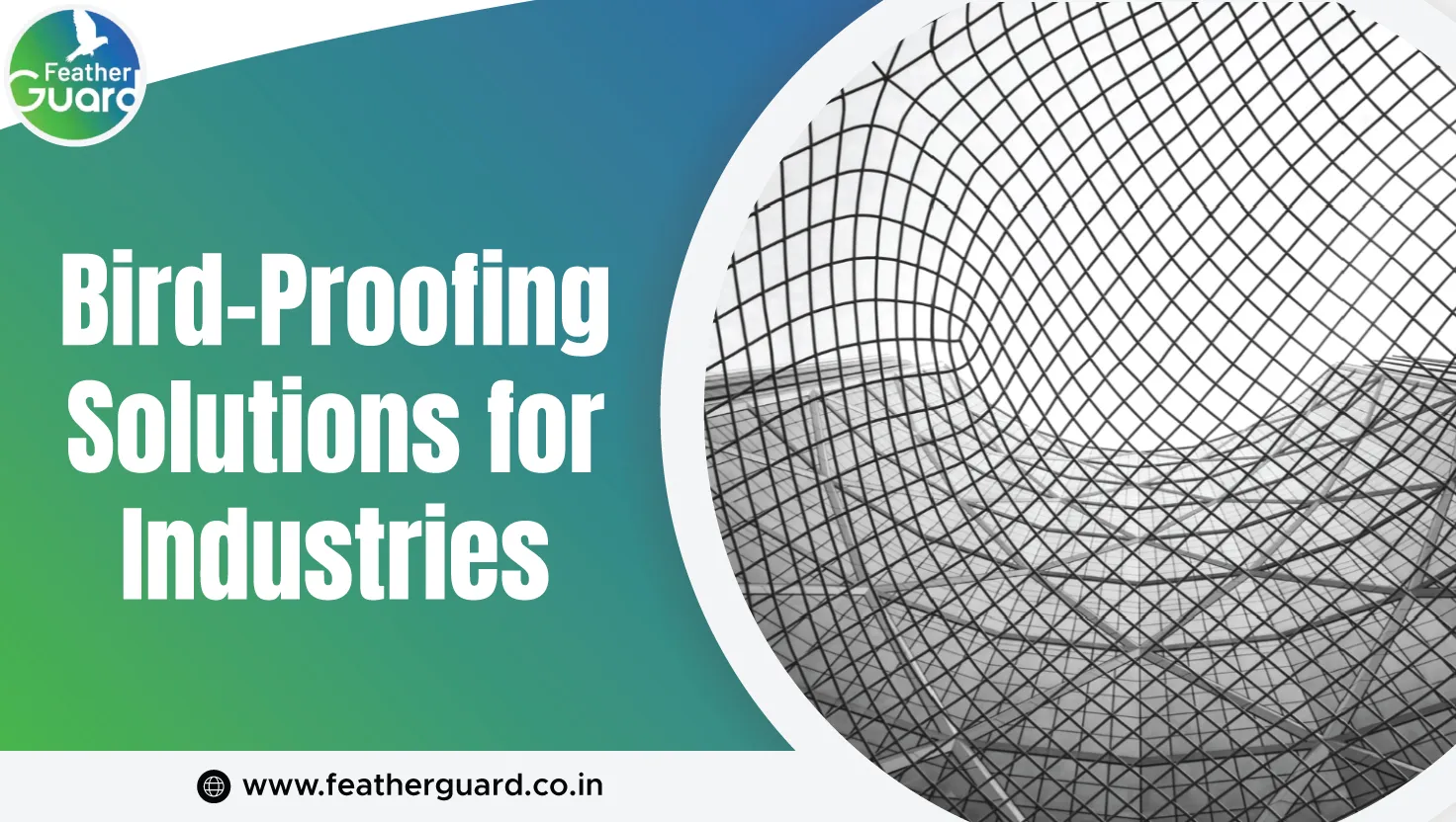 Bird Proofing Solutions For Industries