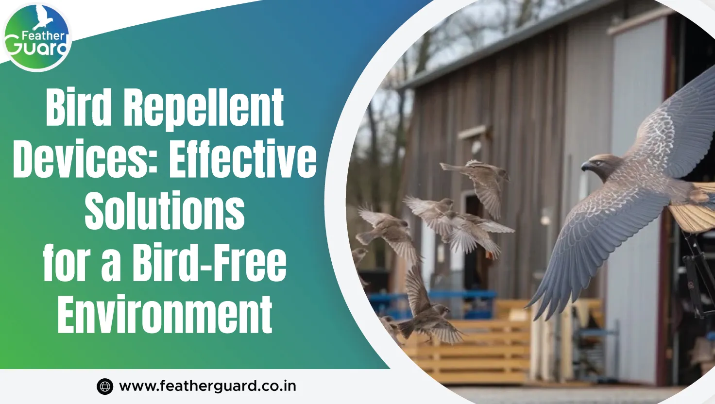 Bird Repellent Devices Effective Solutions For A Bird Free Environment
