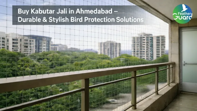 Buy Kabutar Jali in Ahmedabad – Durable & Stylish Bird Protection Solutions