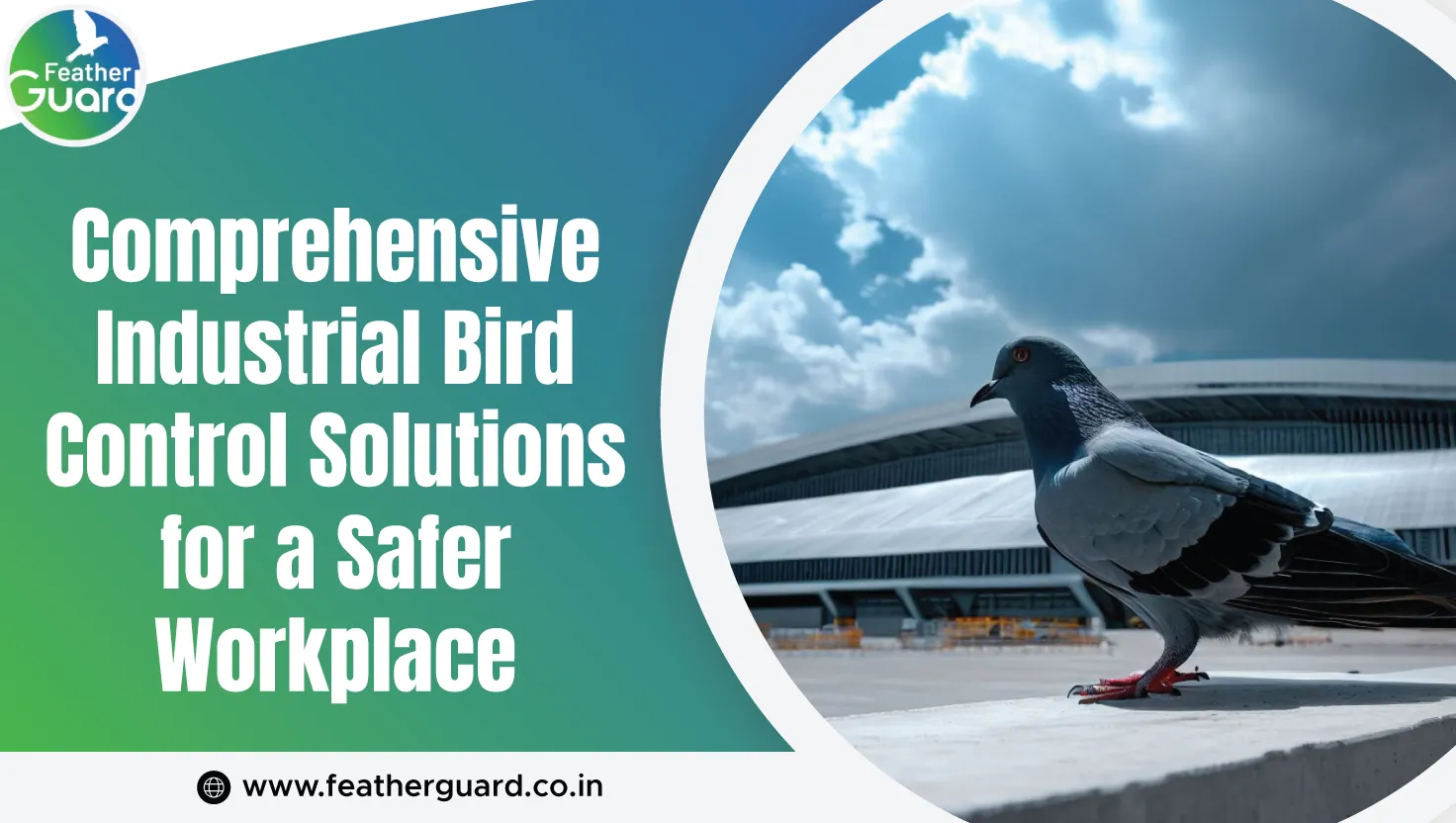 Comprehensive Industrial Bird Control Solutions For A Safer Workplace
