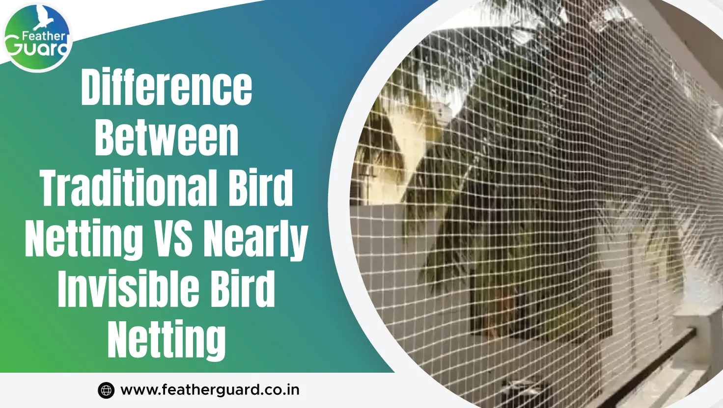 Difference Between Traditional Bird Netting Vs Nearly Invisible Bird Netting