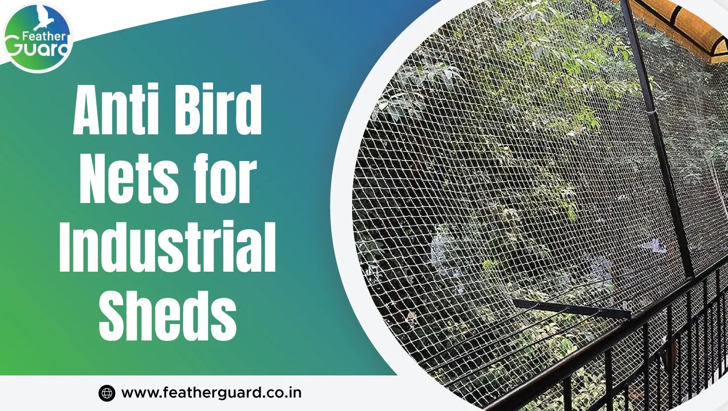 Effective Anti Bird Nets For Industrial Sheds Bird Control