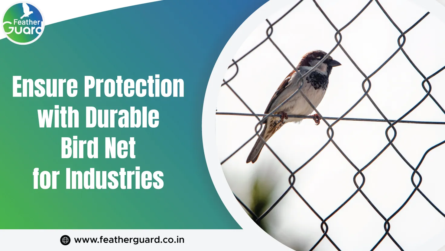 Ensure Protection With Durable Bird Net For Industries