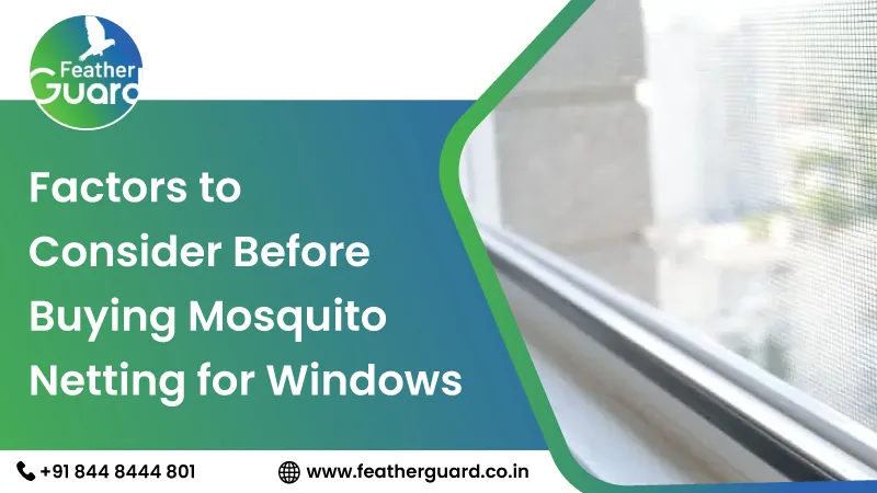 Factors to Consider Before Buying Mosquito Netting for Windows