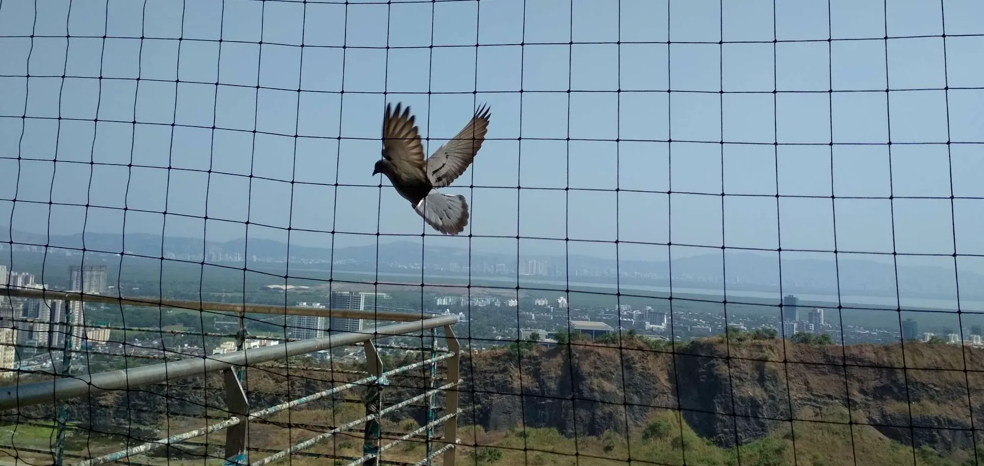 How Bird And Pigeon Netting Works
