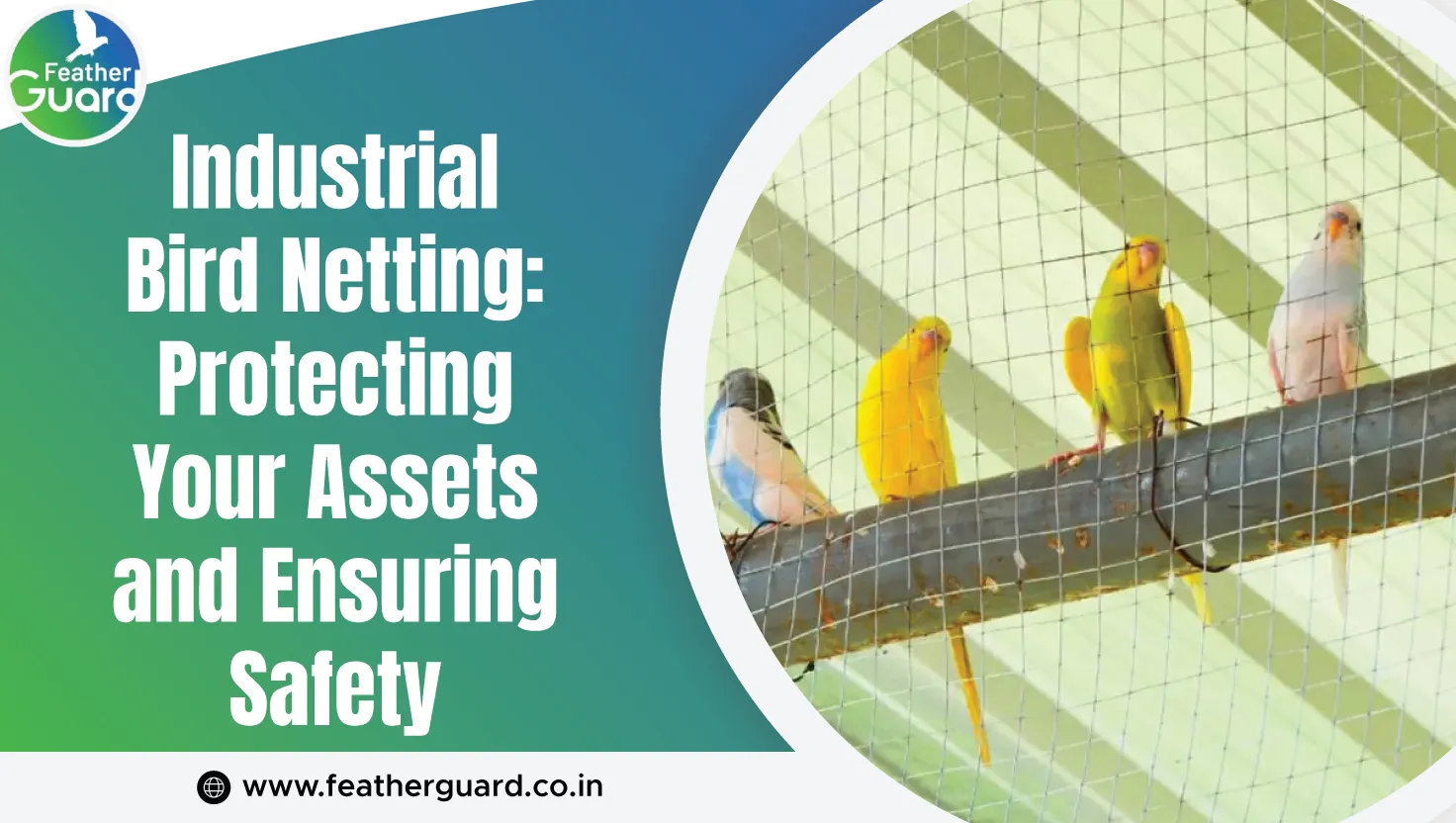 Industrial Bird Netting Protecting Your Assets And Ensuring Safety New