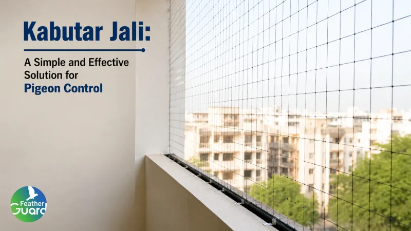 Kabutar Jali: A Simple and Effective Solution for Pigeon Control