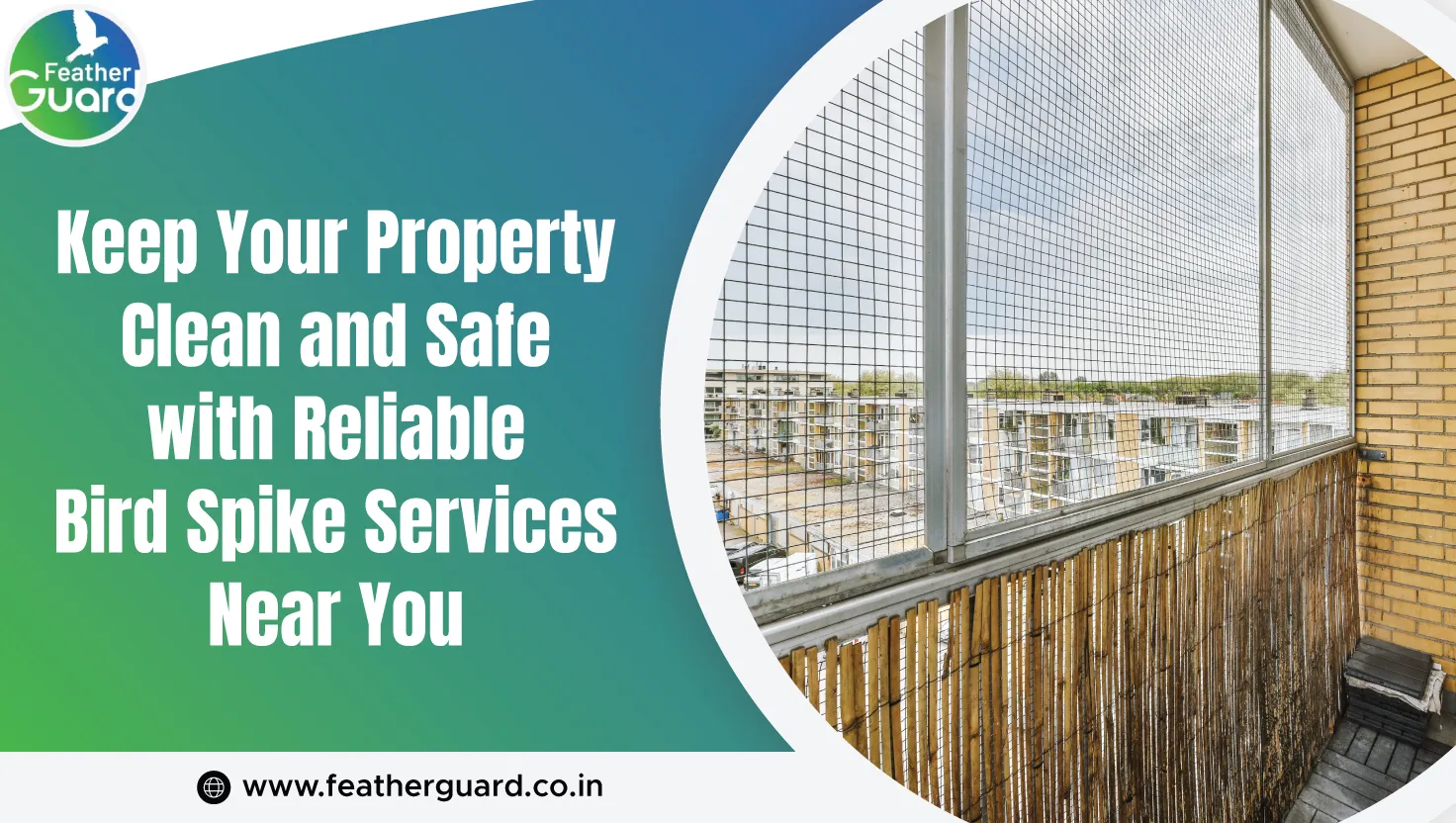 Keep Your Property Clean And Safe With Reliable Bird Spike Services Near You