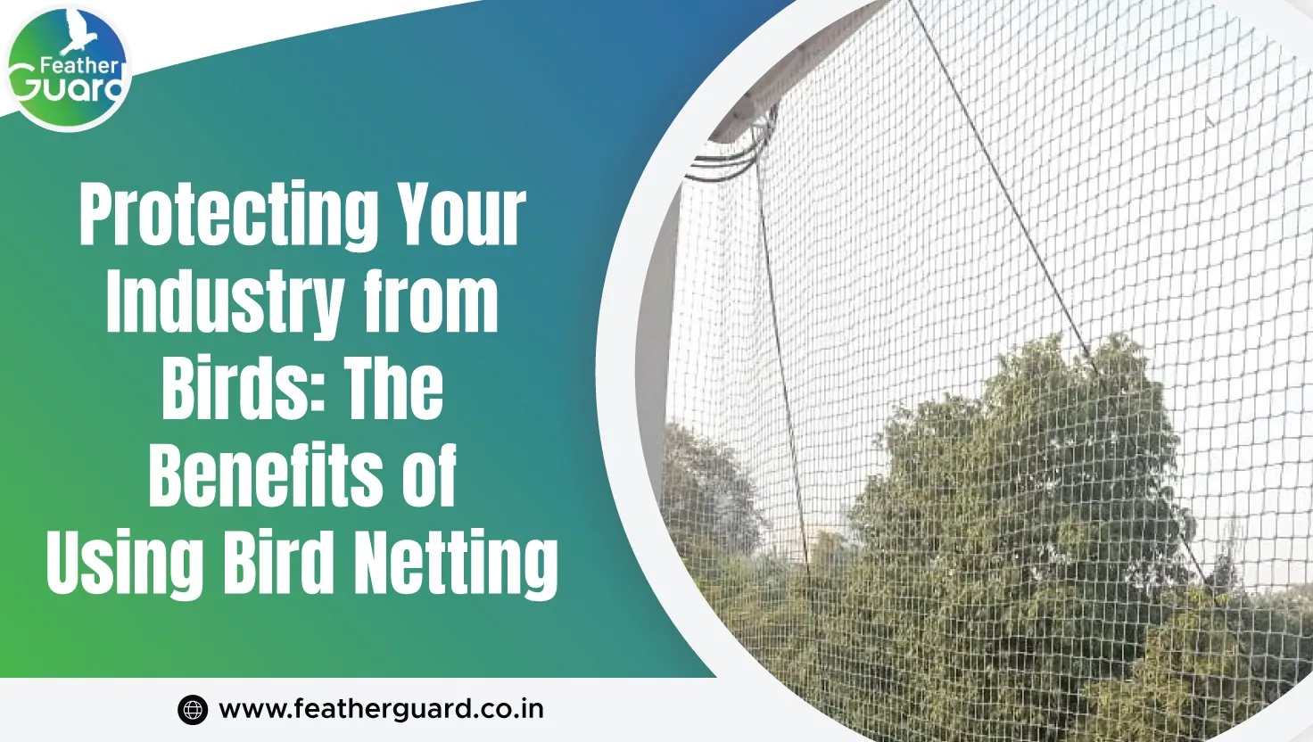 Protect Your Industry From Bird Benefits Of Bird Netting
