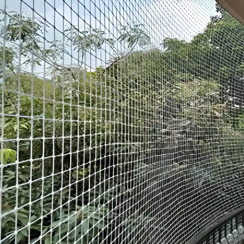 Reasons Why Bird Netting Is Important