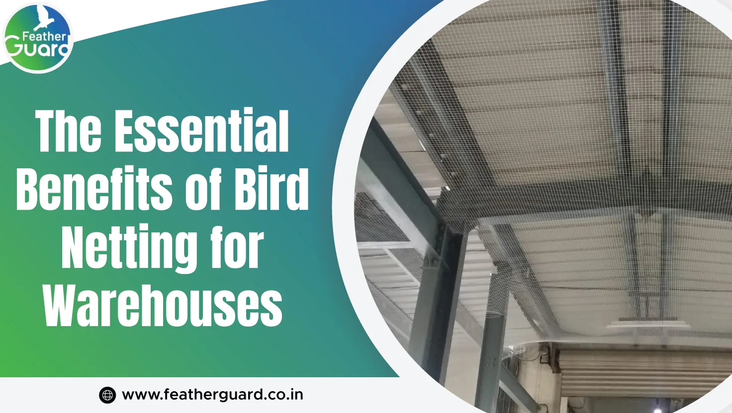 The Essential Benefits Of Bird Netting For Warehouses