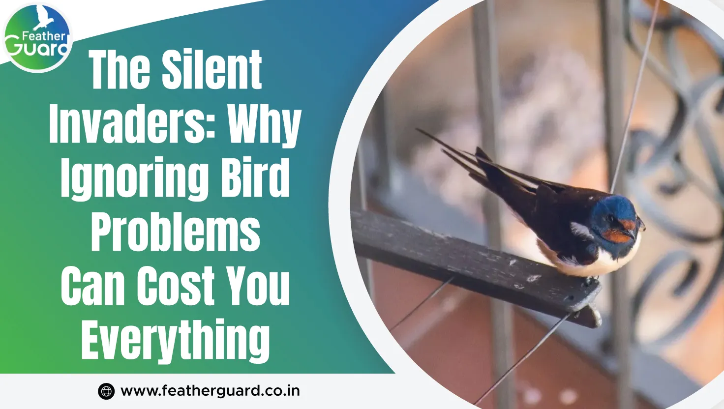 The Silent Invaders Why Ignoring Bird Problems Can Cost You Everything