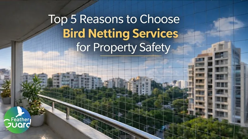 Top 5 Reasons to Choose Bird Netting Services for Property Safety