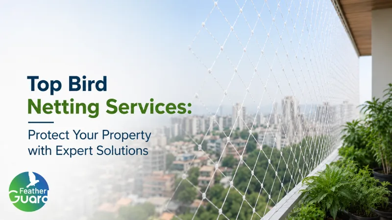 Top Bird Netting Services: Protect Your Property with Expert Solutions