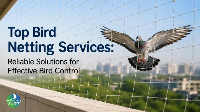 Top Bird Netting Services: Reliable Solutions for Effective Bird Control