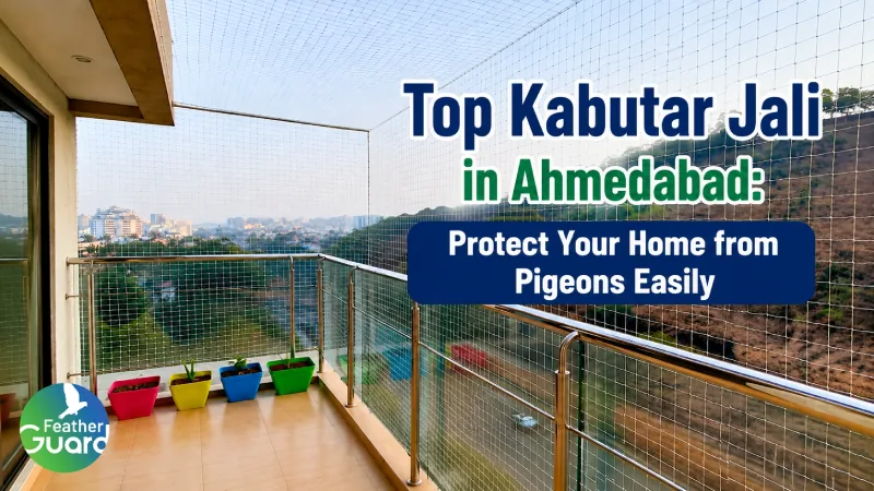 Top Kabutar Jali in Ahmedabad: Protect Your Home from Pigeons Easily