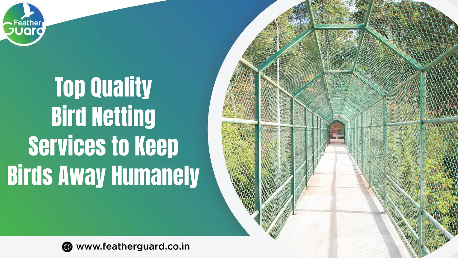 Top Quality Bird Netting Services To Keep Birds Away Humanely