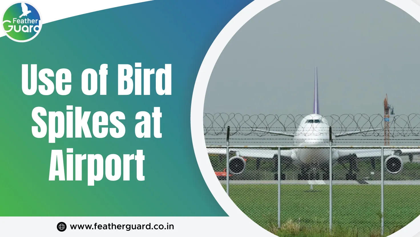 Use Of Bird Spikes At Airport