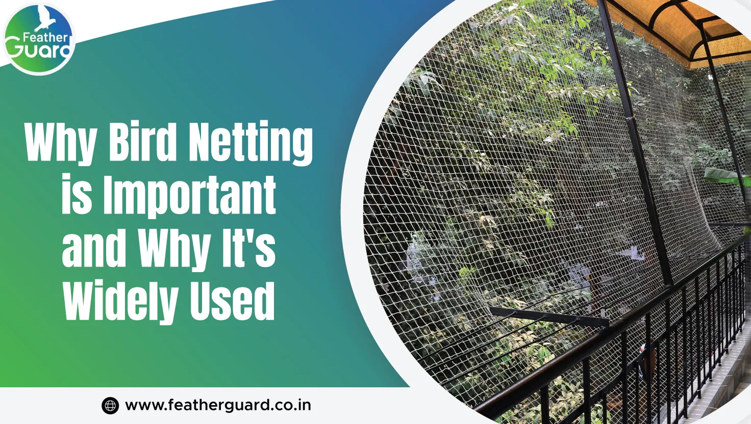 Why Bird Netting Is Important And Why Its Widely Used