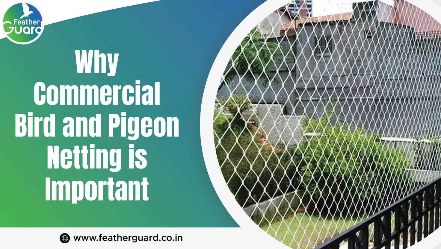 Why Commercial Bird And Pigeon Netting Is Important
