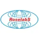 logo 31