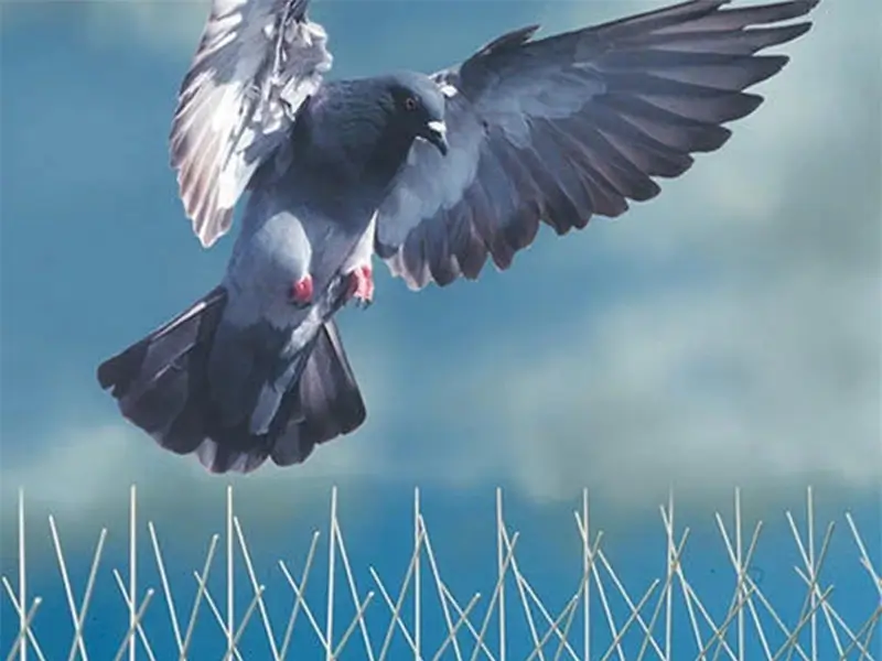 Bird Netting