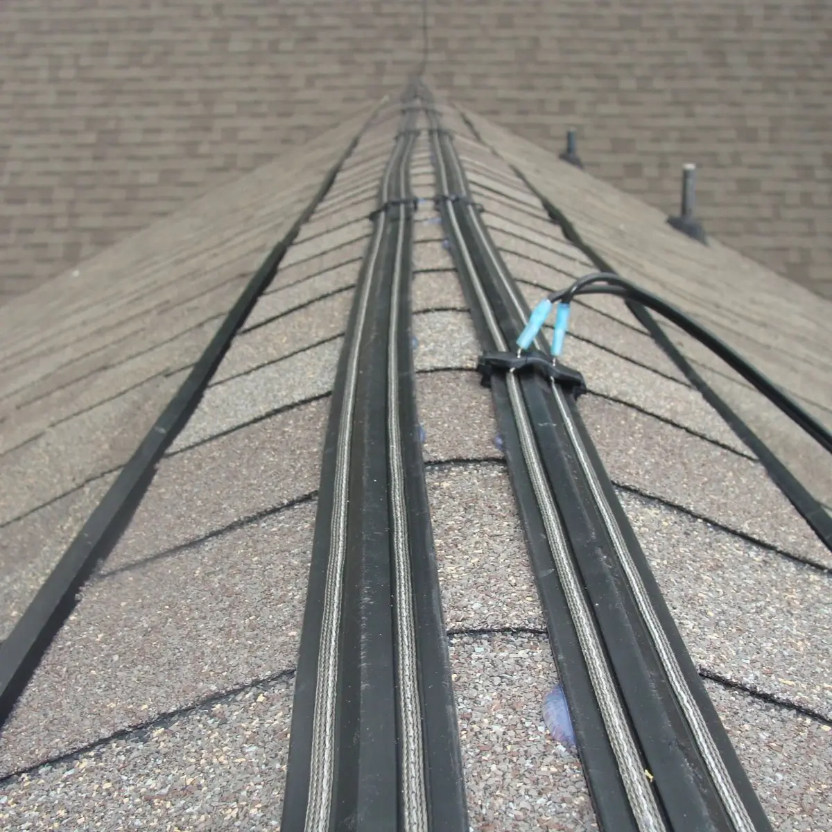 Bird shock track system installed on a ledge inside a food industry building